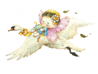 /album/bebe-fada/eeeeeeeee-png/